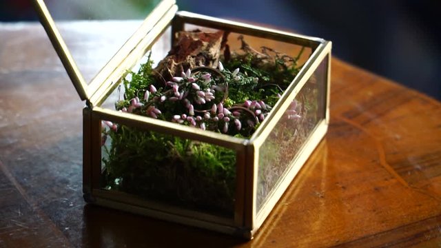 Wedding rings in a box with moss