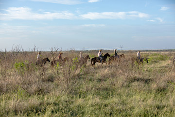 Texas Cowboys
