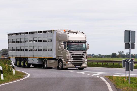 Ein Tiertransporter auf der Autobahn