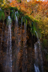 Autumn waterfall landscape