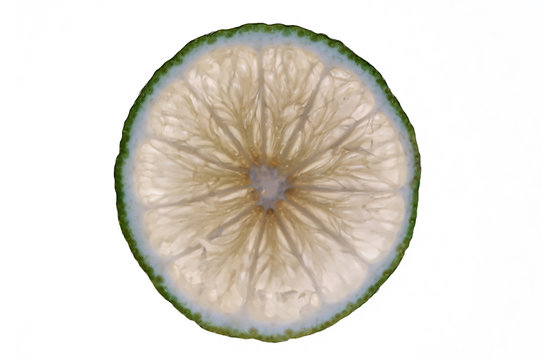 Lime Slice