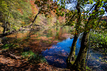 Inside of the natural park