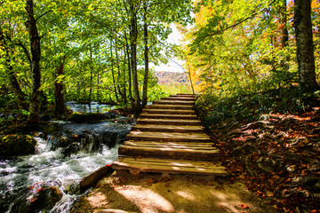 Inside of the natural park