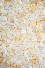 white and brown japanese rice mixed with steamed barley. healhty food