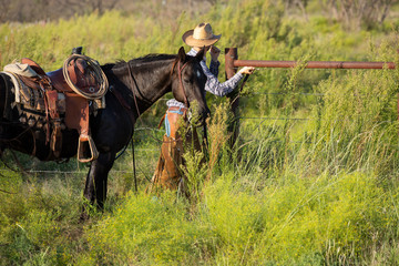Working Cowboy on Black horse