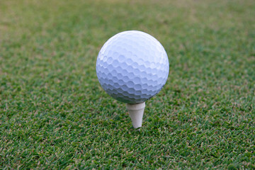 golf ball on tee pegs ready to play in the golf course