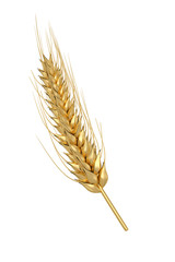 Golden wheat Isolated on white background. 3d illustration