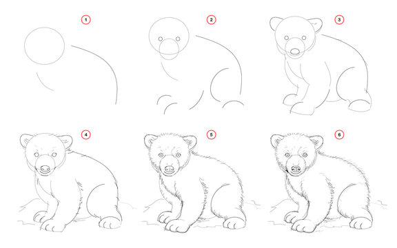 How to draw from nature sketch of white teddy bear. Creation step by step pencil drawing. Educational page for artists. School textbook for developing artistic skills. Hand-drawn vector image.