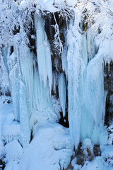 Fototapeta na wymiar 白ひげの滝の凍結 