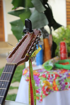 viol&atilde;o