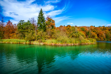 Fototapeta na wymiar Autumn landscape near the lake