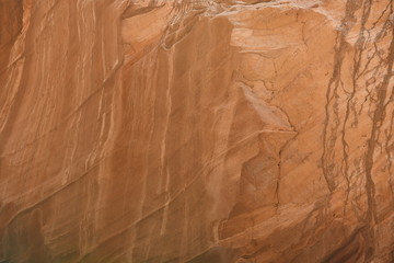 Texture on rock
