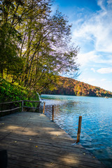 Naklejka premium Autumn landscape near the lake