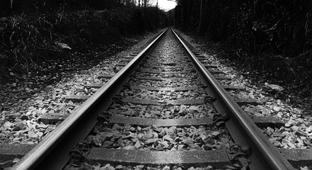 Fototapeta premium Rail