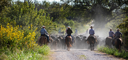 Texas Ranch Cowboys  © Terri Cage 