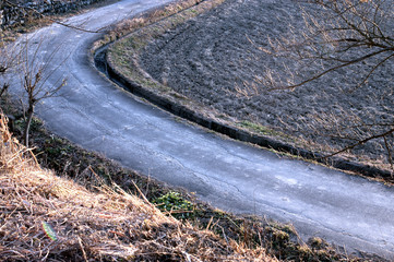 道６
