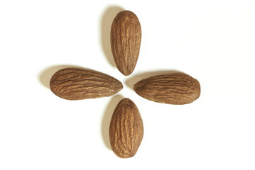 Almond. Four dark brown kernels lined up in a cross on a white paper backing.