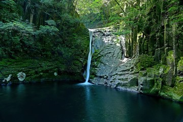 赤目四十八滝　初夏の布引滝の情景＠三重県