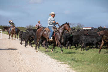 Working Cowboy