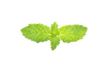Spearmint in isolated white background clipping path