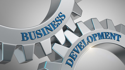 Business development concept. Words business development written on gear wheels.