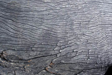 abstract texture of cracked wooden background