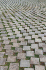 Stone paving green grass pathway
