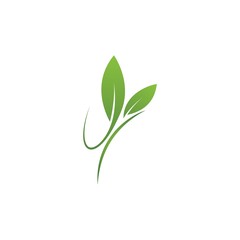 Green leaf logo