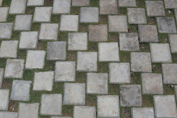 Obraz premium Stone paving green grass pathway