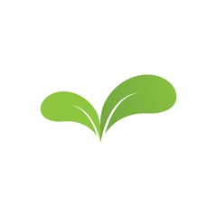 Green leaf logo