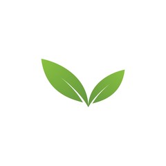 Green leaf logo