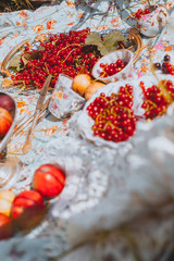 fresh fruits and berries in plates and wicker basket on tablecloth. top view