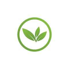 Green leaf logo