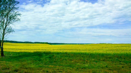 road and farm Brest City of Belarus