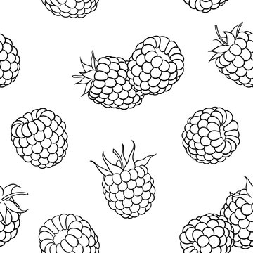 Beautiful seamless pattern cartoon black and white outline raspberry, symbol of summer. design for holiday greeting card and invitation of seasonal summer holidays, beach parties, tourism and travel