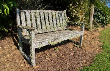 Wooden Bench Seat with Alpine Moss