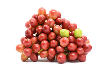 Coffee berries red green on branch on white background.