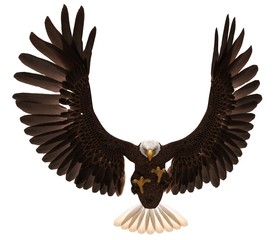 Bald eagle flying isolated on white 3d illustration