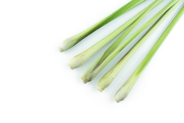 bundle lemon grass on white background.