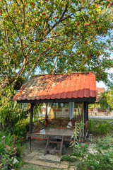 Fototapeta na wymiar hut under the rambutan tree