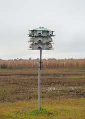 Wild Bird Condos