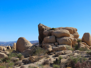 Joshua Tree National Park in California