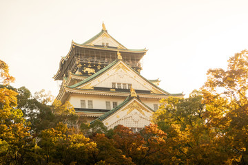 Fototapeta premium Osaka Castle in Osaka with autumn leaves. Japan Travel Concept