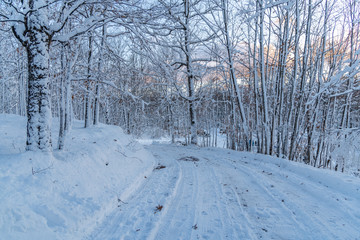  Winter driveway scene snow cleared landscape