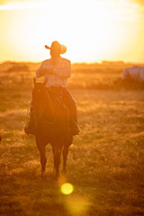 Cowboys at Sunrise
