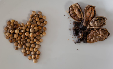 Coriander Seeds and Black Cardamom Pods on a White Plate
