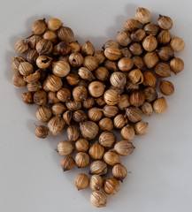 Coriander Seeds Formed into a Heart on a White Plate