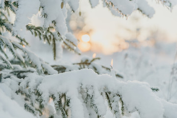 snow on Christmas tree and a candle 