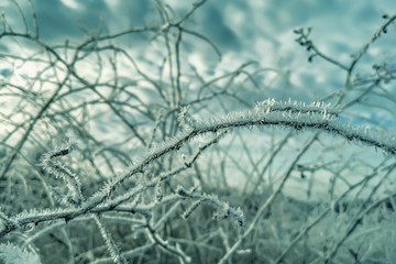frozen crystals of ice on the grass.