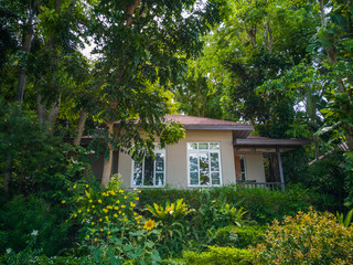 Fototapeta na wymiar Beautiful house in nature, fresh green for relaxation